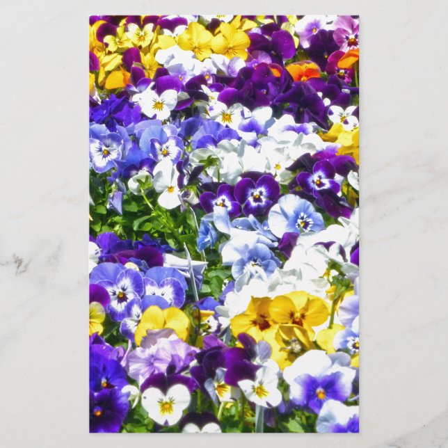 Pansies Brevpapper (Framsida)