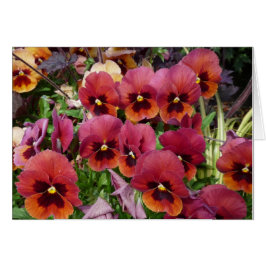 Pansies Card för dig! Hälsningskort