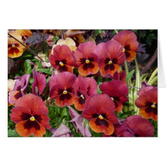 Pansies Card för dig! Hälsningskort