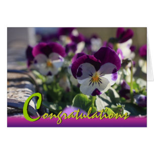 Pansies CC0473 Flower Firande Card Hälsningskort