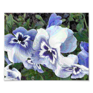 PANSIES FOTOTRYCK