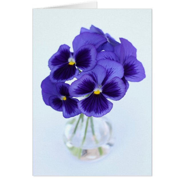 Pansies Hälsningskort (Framsidan)
