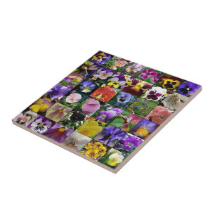 Pansies Kakelplatta