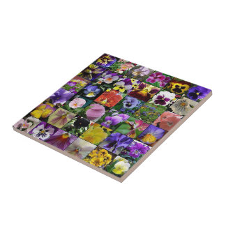 Pansies Kakelplatta