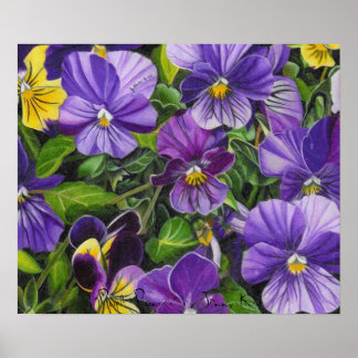 Pansies, "Lila Pansies" av Jenny Koch Poster