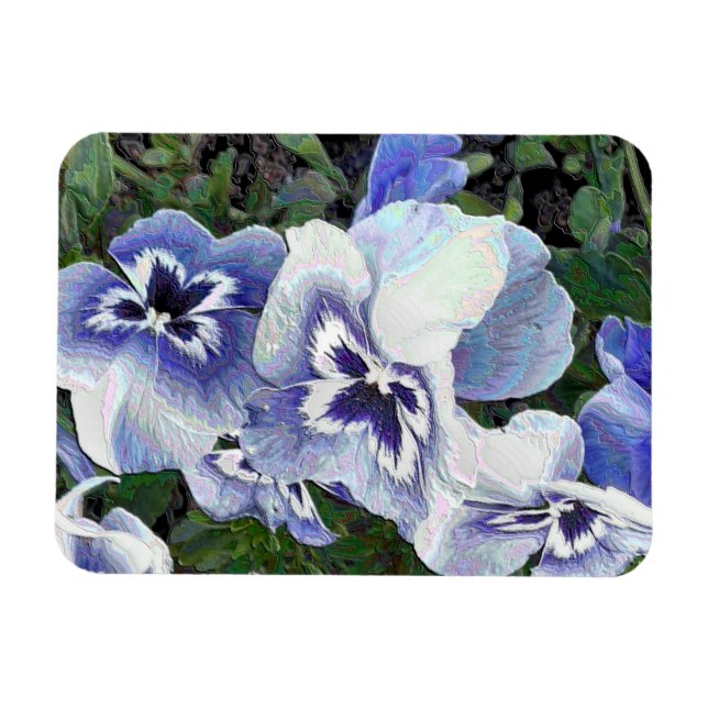 PANSIES MAGNET (Horisontell)