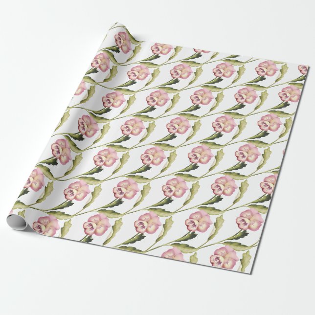 Pansies mönster på vit bakgrund presentpapper (Utrullad)