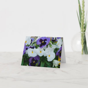 Pansies noterar kortet kort