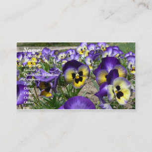 Pansies på parad visitkort