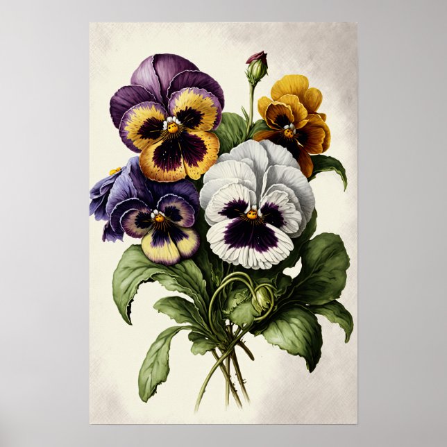 Pansies Pansy Flower Art Print Poster (Framsidan)