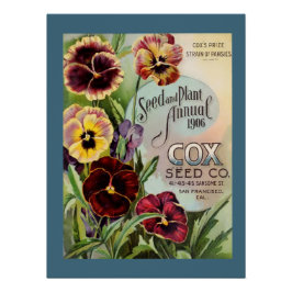 Pansies Perfect Poster