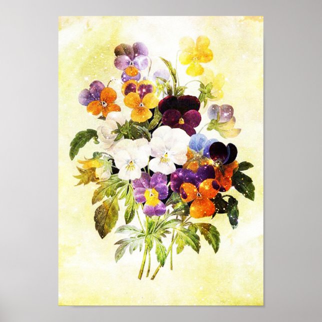 Pansies Poster (Framsidan)