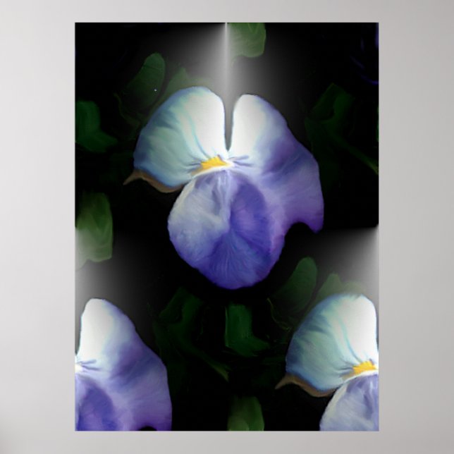 Pansies Poster (Framsidan)