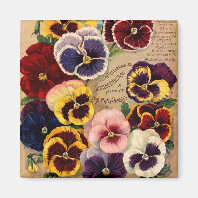 Pansies Seed Packet Magnets Magnet (Framsidan)