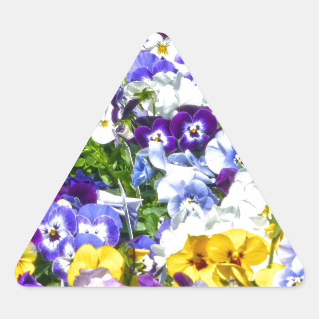 Pansies Triangelformat Klistermärke (Framsida)