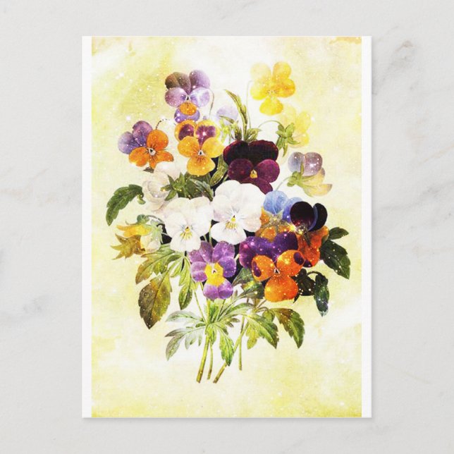 Pansies Vykort (Framsida)