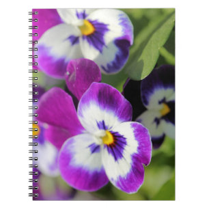 Pansy Anteckningsbok