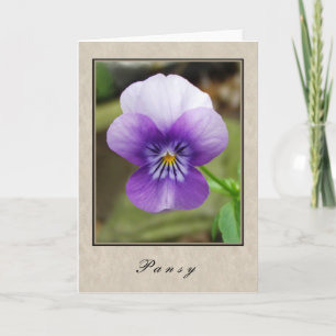 Pansy - Blommigt Series Kort