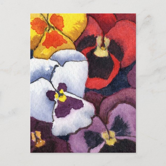 Pansy Blommigt-vykort Vykort (Framsida)