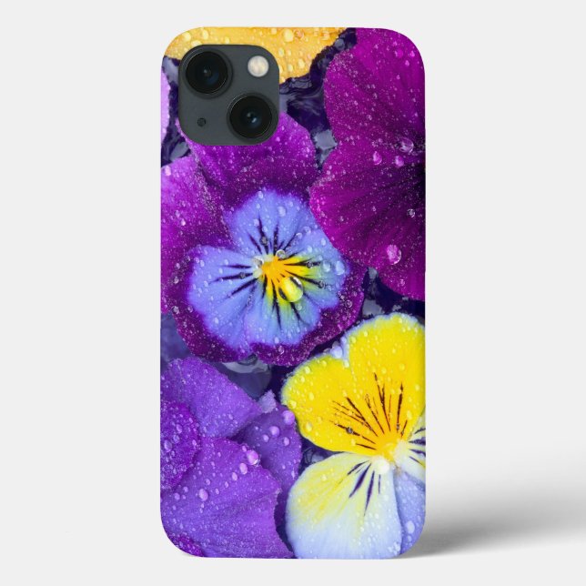 Pansy-blommor flytande i fågelbad med dagg 2 (Baksida)