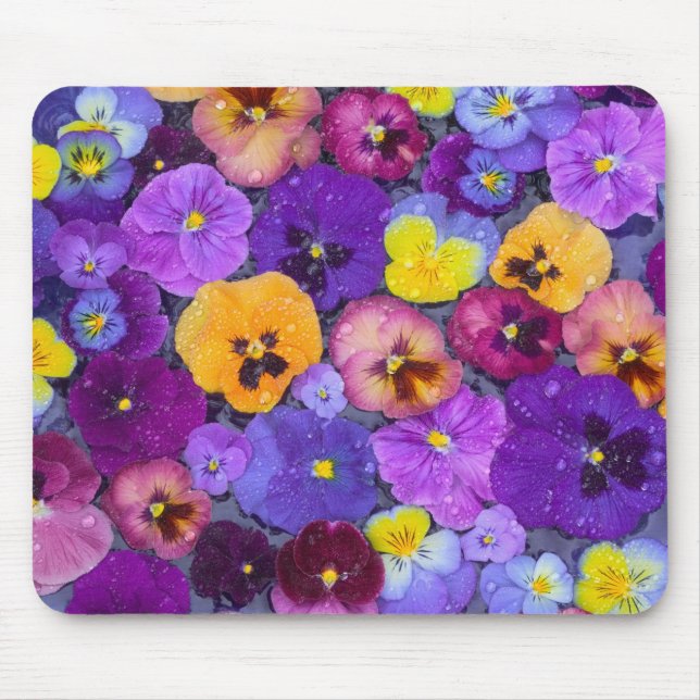 Pansy-blommor flytande i fågelbad med dagg musmatta (Framsidan)