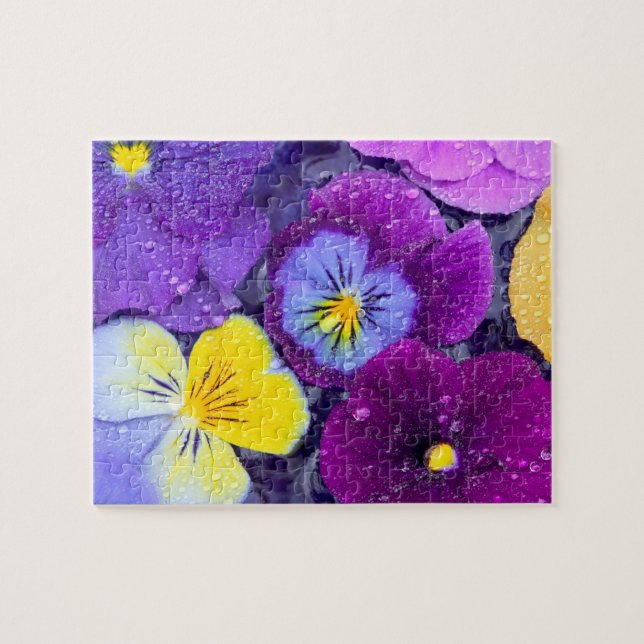 Pansy-blommor flytande i fågelbad med dagg pussel (Horisontell)