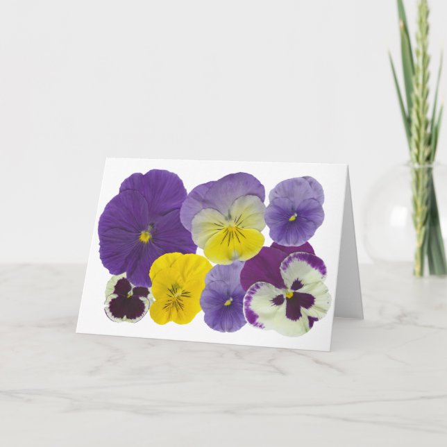 Pansy-blommor Kort (Framsida)