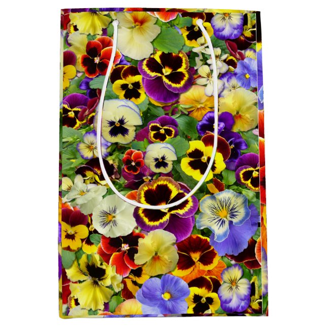 Pansy Cascade (Framsidan)