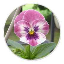 Pansy Ceramic Knob (Rosa och Lila)