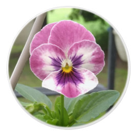 Pansy Ceramic Knob (Rosa och Lila) Knopp