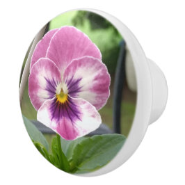 Pansy Ceramic Knob (Rosa och Lila) Knopp