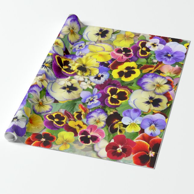 Pansy Collage Presentpapper (Utrullad)