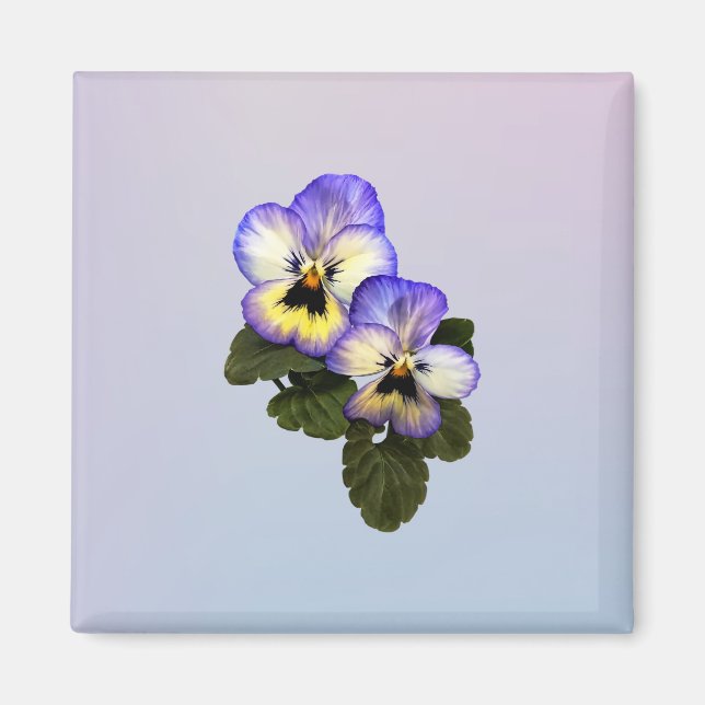 Pansy Duo Magnet (Framsidan)