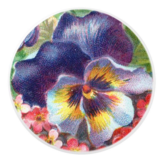 Pansy Flower Knopp Drag (Framsidan)