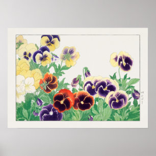 Pansy Flower, Red, Lila & Gult Pansies, Konan Poster