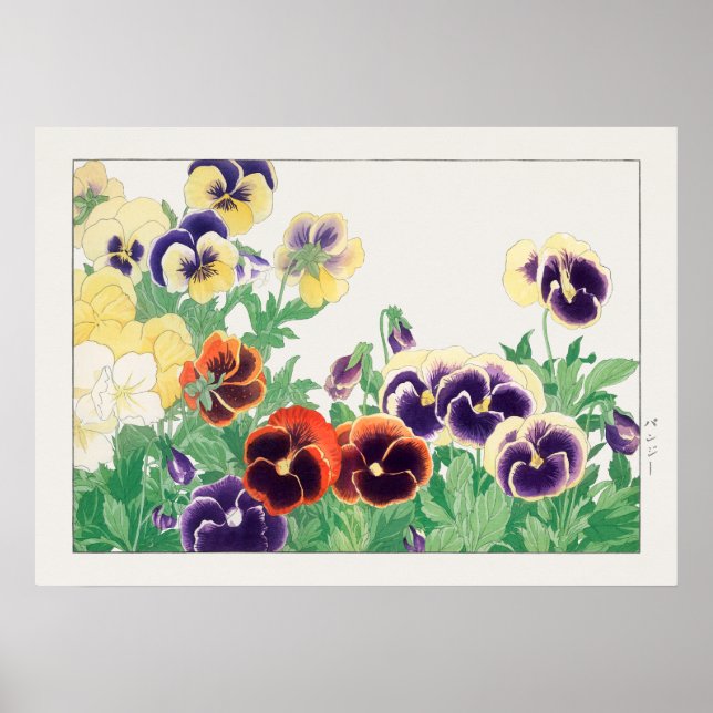 Pansy Flower, Red, Lila & Gult Pansies, Konan Poster (Framsidan)