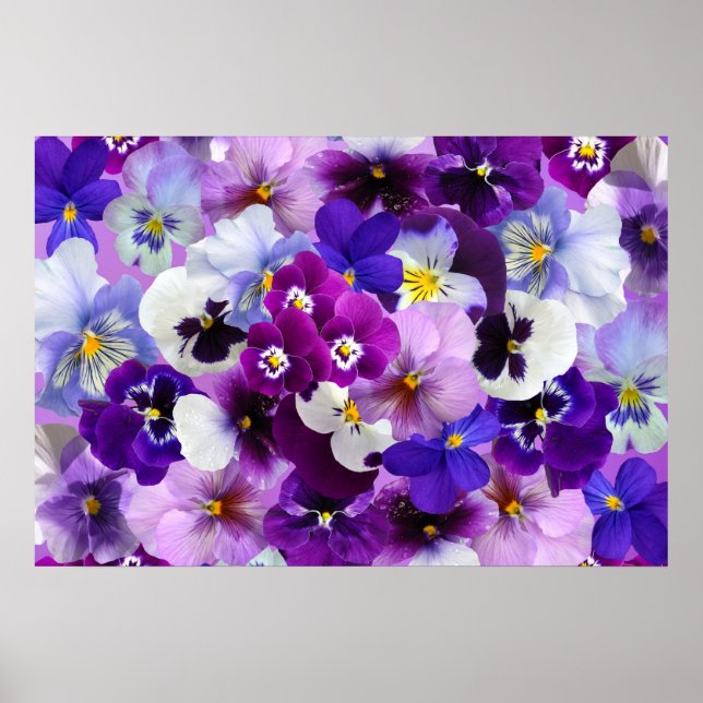 Pansy Flower Tapet Art Poster (Framsidan)