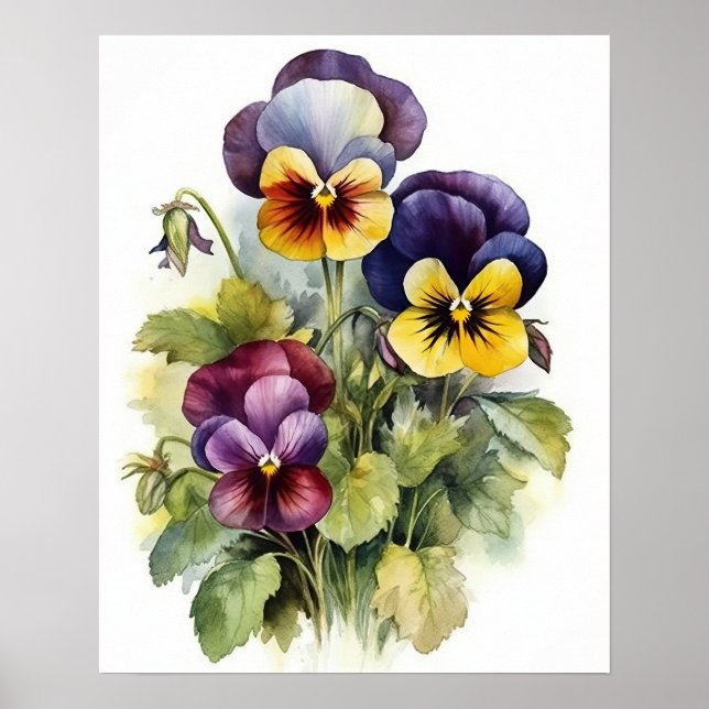 Pansy Flowers Art Print Poster (Framsidan)