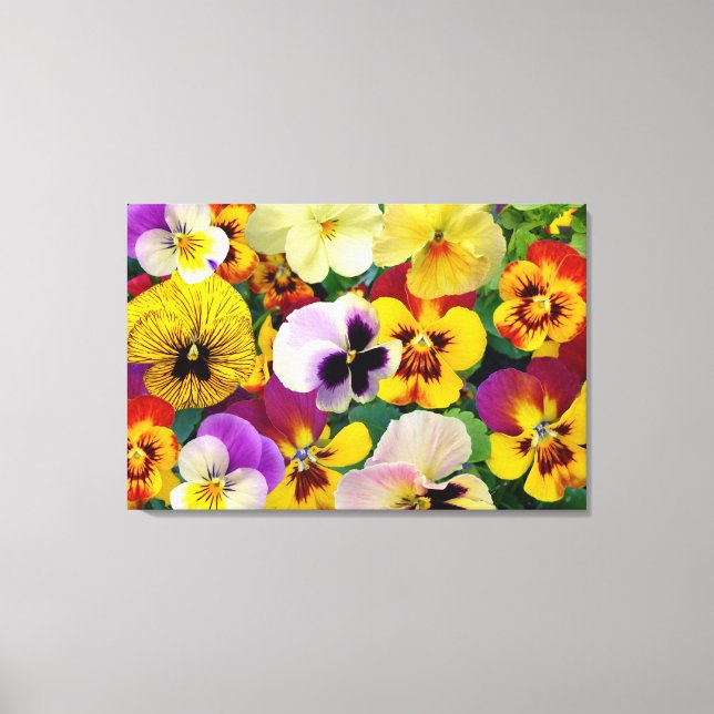 Pansy Flowers ~ Wrapped Canvas Skriv ut (Framsida)