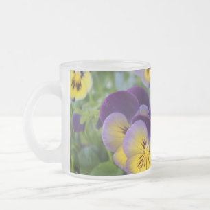 Pansy frostat kopp