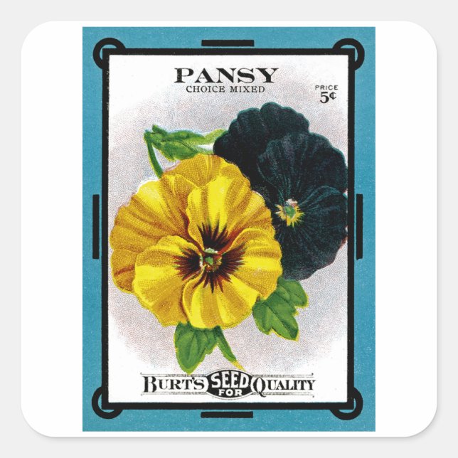 Pansy Fyrkantigt Klistermärke (Framsida)
