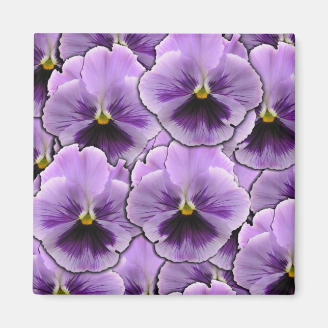 Pansy Garden Magnet (Framsidan)
