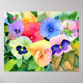 Pansy Garden Print Poster