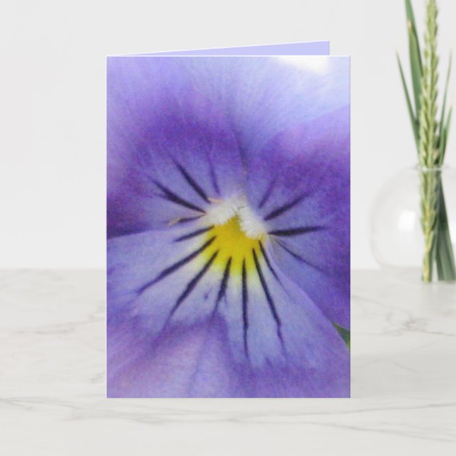 Pansy Kort (Framsida)