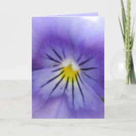 Pansy Kort