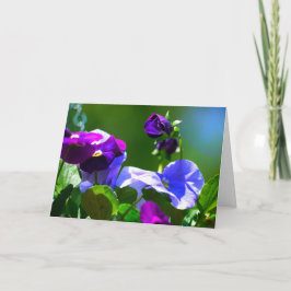 PANSY-KORT-ANY TILLFÄLLE KORT