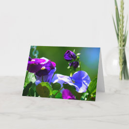 PANSY-KORT-ANY TILLFÄLLE KORT