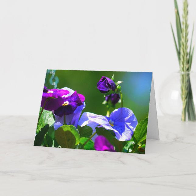 PANSY-KORT-ANY TILLFÄLLE KORT (Framsida)