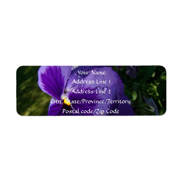 Pansy med droplet Vatten Returadress Etikett (Framsidan)