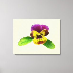 Pansy med välmående Arm Canvastryck